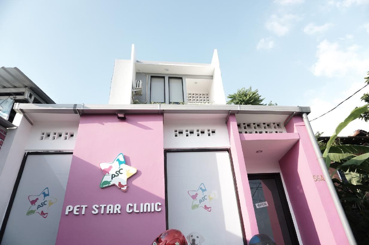 Petstar — foto 4