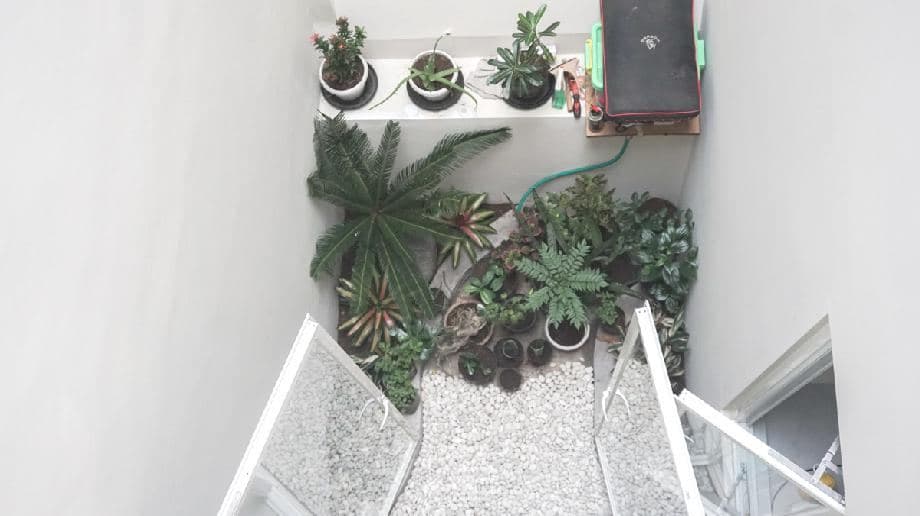 SA House — foto 4